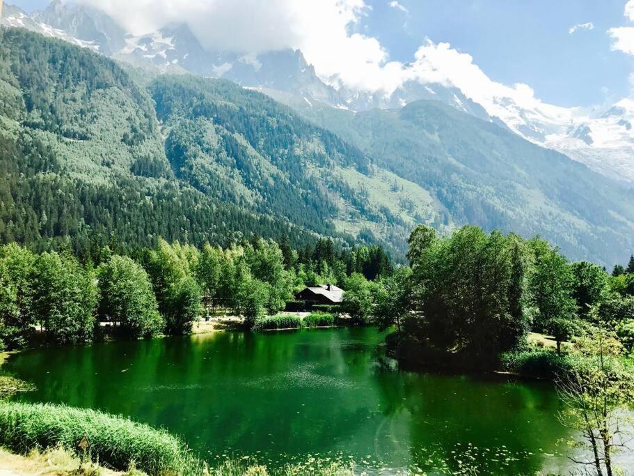 Modern 2Br 5* Pool Gym Spa Garage Mont-Blanc View Chamonix Bagian luar foto